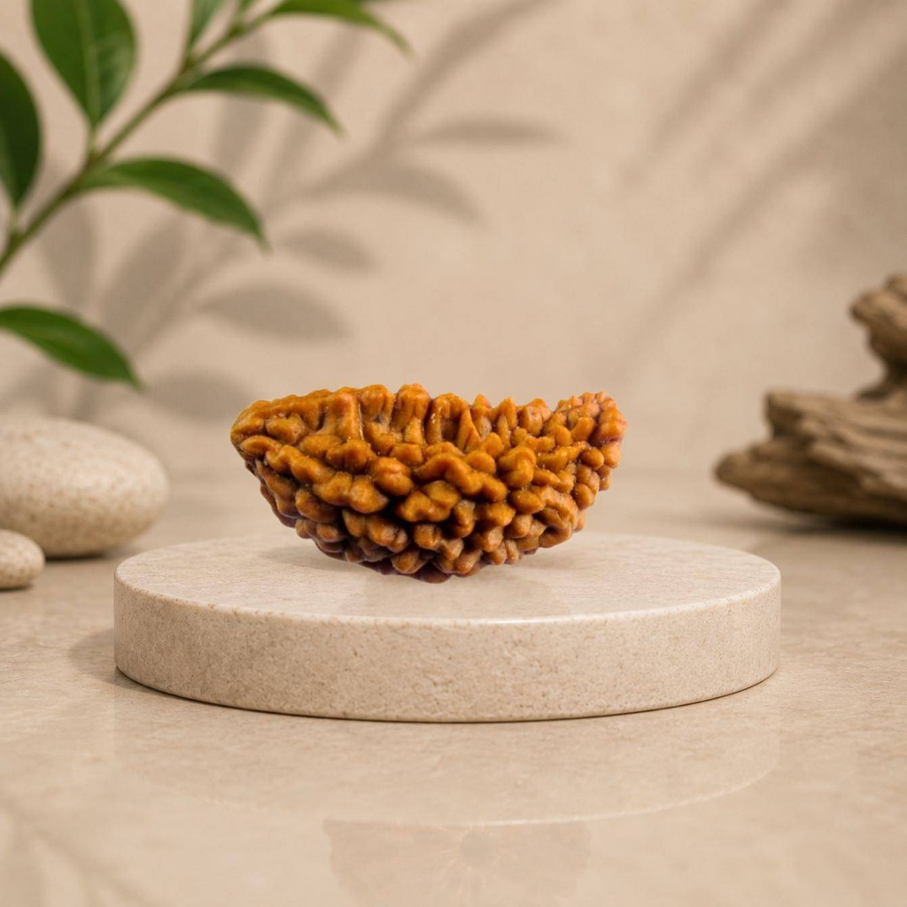 [0001] 1 Mukhi (Kaju Rudraksh) with Silver Pendant