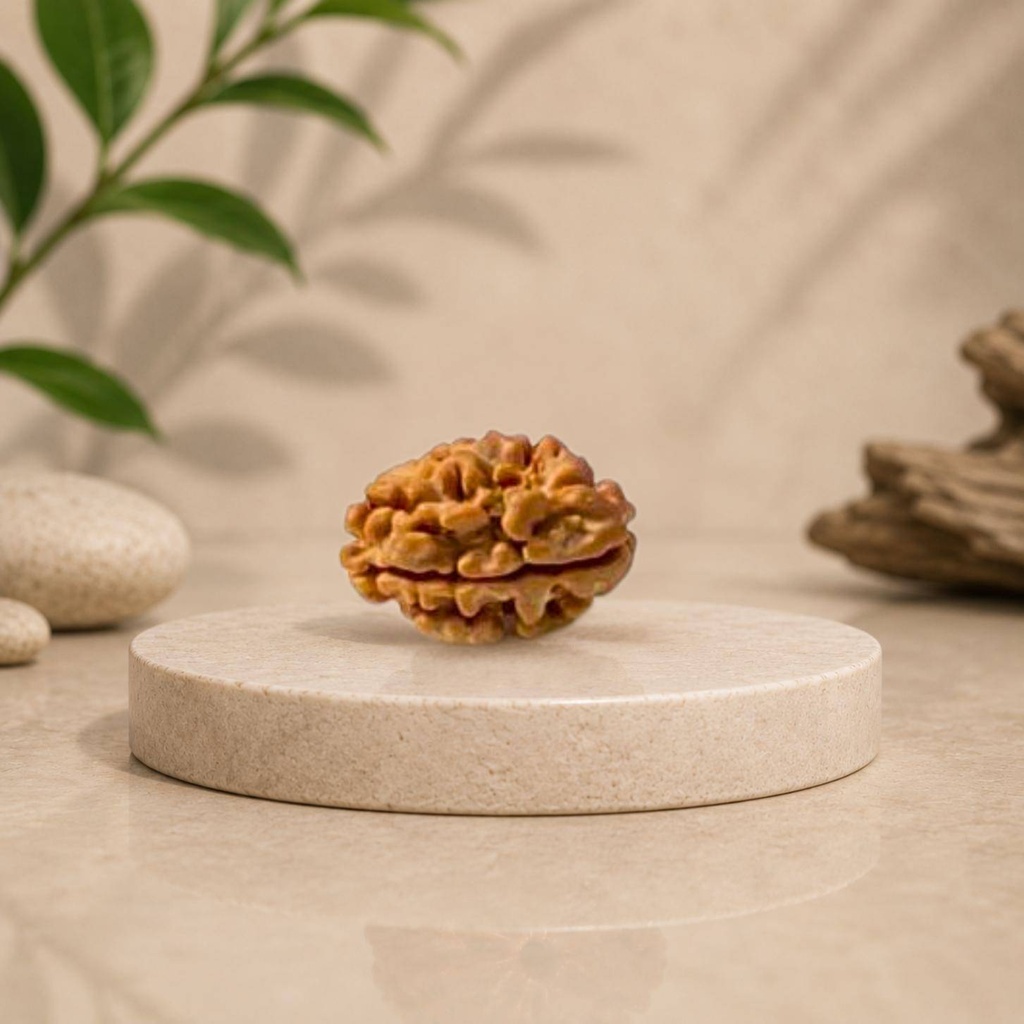 2 Mukhi