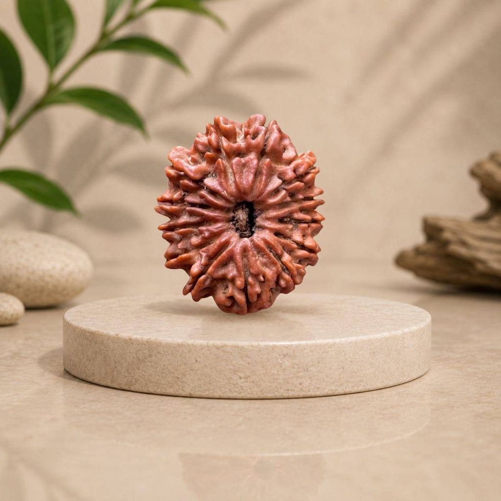 13 Mukhi